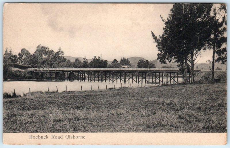 GISBORNE, New Zealand    View on ROEBUCK ROAD  ca 1910s     Postcard