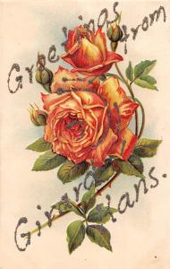 D76/ Girard Kansas Ks Postcard Greetings from Kansas c1910    #2