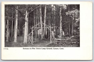 Entrance To Pine Grove Camp Ground Canaan Connecticut Trees & Antique Postcard