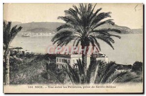 Postcard Old Nice view between the palm trees taken Sainte Helene