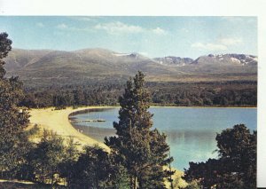 Scotland Postcard - Loch Morlich and The Cairngorms - Inverness-shire Ref TZ8406