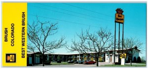 Brush Colorado Postcard Oversized Best Western Brush Motel Roadside c1960's Cars