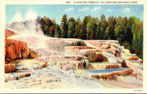 Yellowstone National Park Cleopatra Terrace Curteich