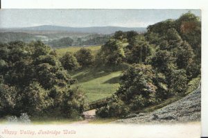 Kent Postcard - Happy Valley - Tunbridge Wells - Ref 19239A