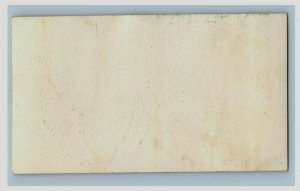 1870's None-Such Breakfast Grits H.L Snyder Anthropomorphic Grasshoppers P165