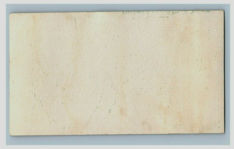 1870's None-Such Breakfast Grits H.L Snyder Anthropomorphic Grasshoppers P165