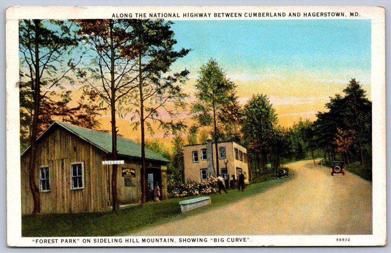JH12/ Hagerstown Maryland Postcard c1910 National Highway Forest Park 143