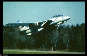 F-148 Tomcat by Northrop Grumman Postcard