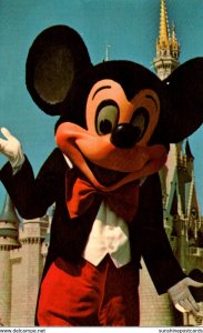 Florida Walt Disney World Mickey Mouse Welcome To Fantasyland