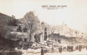 CHICAGO ZOOLOGICAL PARK~HABITAT SCENES FOR BEARS-REAL PHOTO POSTCARD 1940s