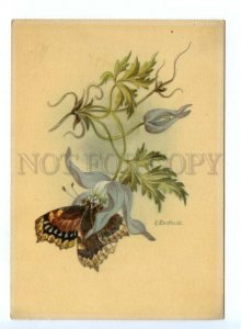 498828 East Germany GDR Belle BUTTERFLY on Flowers by Manbhardt Vintage postcard