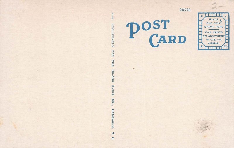 J76/ Hawaii Postcard c1910 Honolulu Native Surfboard Tricks Stunt Surfer 283