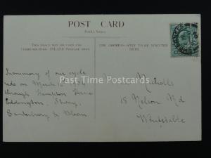 Kent A KENTISH HOP GARDEN c1904 Postcard by Frith / H J Goulden of Canterbury