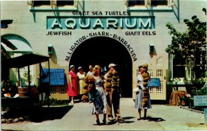 Postcard FL Key West Entrance to Municipal Aquarium Tourists Souvenirs 1960s S41