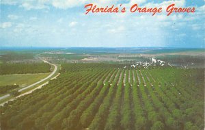 Florida's orange groves Florida, USA Florida Oranges Unused 