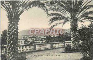 Old Postcard SAN REMO-Entre les Palmiers