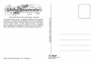 Yellow Pine - Idaho, USA