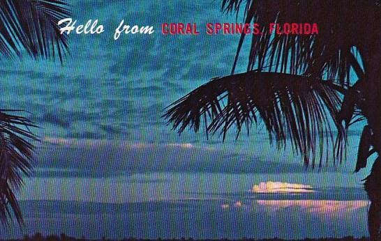 Florida Coral Springs Hello From Coral Springs