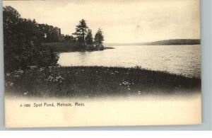Melrose MA Pond c1910 Postcard