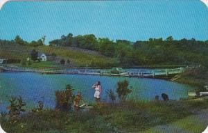 Floating Bridge In The Green Mountains Vermont