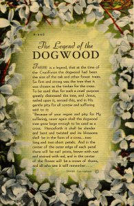 The Legend of the Dogwood