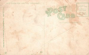 Vintage Postcard 1910's Franklin Square Bloomington Illinois W.B. Read & Co. Pub