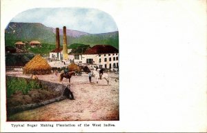 Typical Sugar Making Plantation West Indies Horses WB Postcard VTG UNP Unused