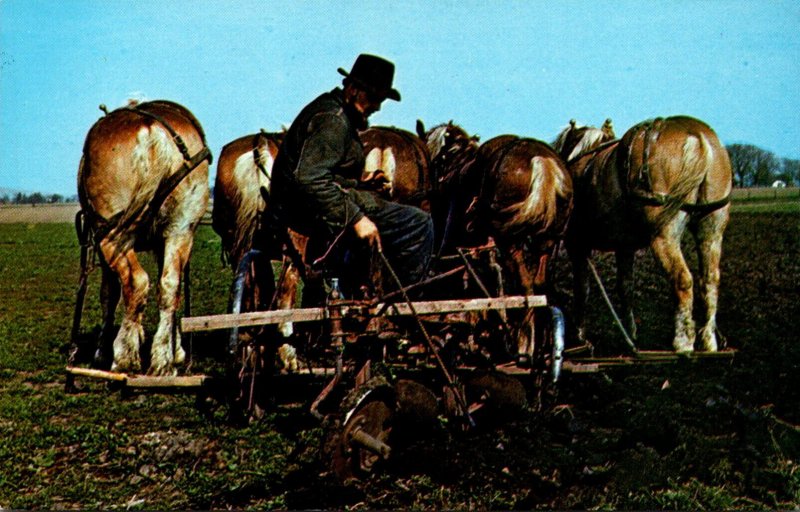 Iowa Kalona Old Order Amish Man Doing Spring Plowing