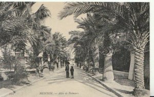 France Postcard - Menton - Allee De Palmiers - Ref TZ9926