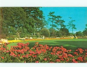 Beacon Hill Park Flowers Garden Victoria B C  Postcard # 6049