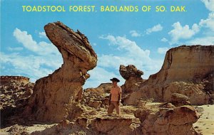 Toadstool Forest Badlands, South Dakota SD s 