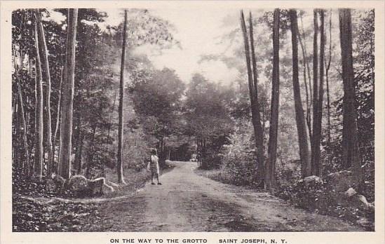 New York Saint Josephs On the Way To The Grotto Albertype