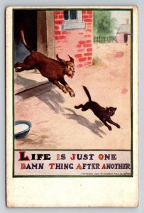 1910 Comic Dog Chasing Cat Postcard Life Is Just One Damn Thing After Another