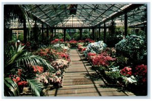 c1960 Longwood Gardens  Pierre DuPont Estate House Wilmington Delaware Postcard 