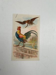 Victorian Trade Card J & P Coats' Spool Cotton Eagle + Rooster