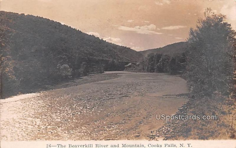 Beaverkill River and Mountain Cooks Falls NY Unused