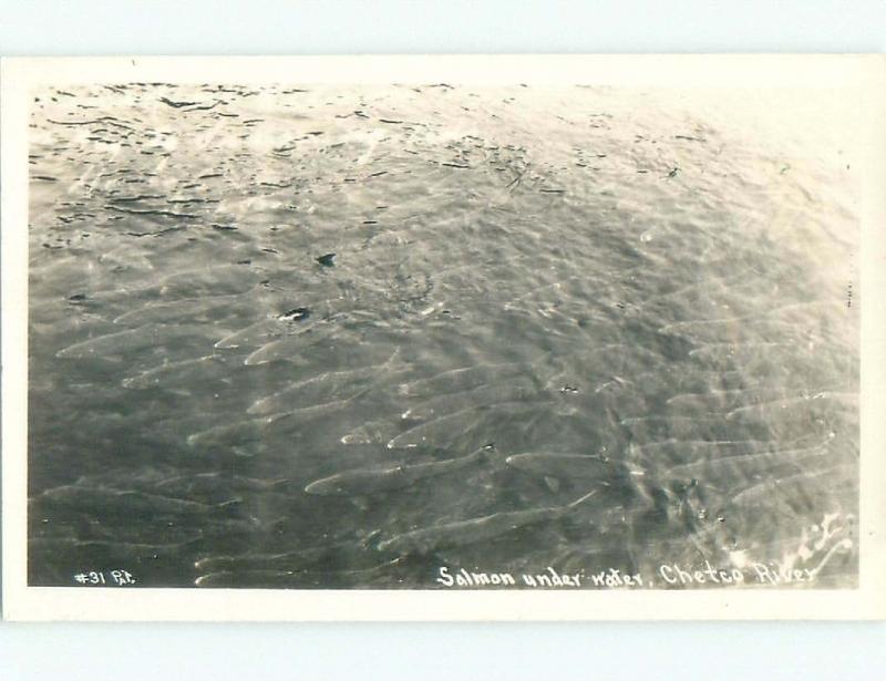 Pre-1942 rppc SALMON FISH SEEN THRU WATER Chetco River - Brookings OR i6228