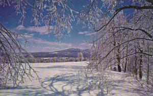 Vermont Manchester Winter Magic