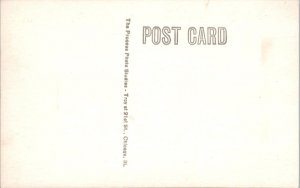 RPPC  JACKSONVILLE, FL   ALLIGATOR EGGS HATCHING    c1920s  Postcard