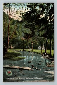 On Line Of LVRR Along The Brook, Bellewood, Vintage c1908 Postcard 