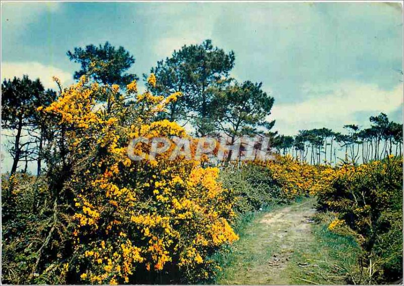 Postcard Modern Britain Land of Passes