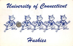University Of Connecticut Huskies  - Mansfield, Connecticut CT