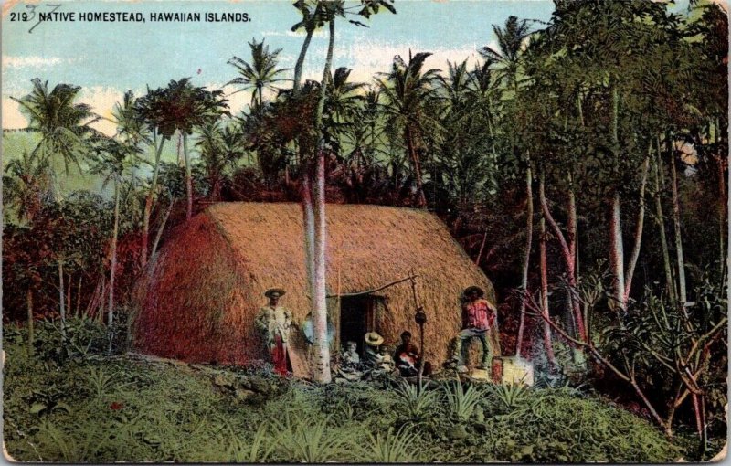 Postcard Native Homestead in the Hawaiian Islands