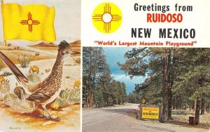 RUISOSO, NM  New Mexico    GREETINGS  Roadrunner & Welcome Sign    1967 Postcard