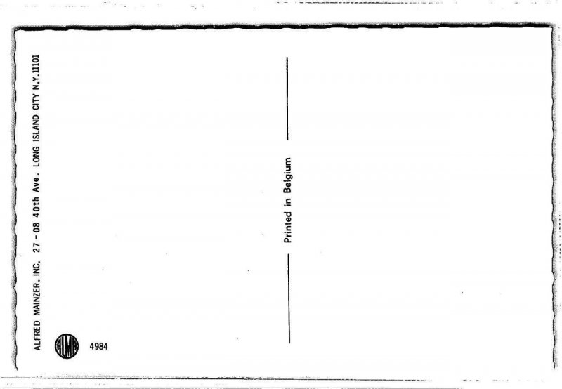 Cat Family Photographer Mainzer Belgium #4984 Vintage Anthropomorphic Fantasy