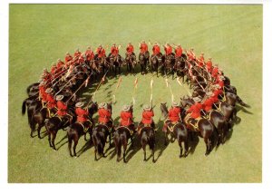 Royal Canadian Mounted Police, RCMP, Musical Ride, Horses in a Circle