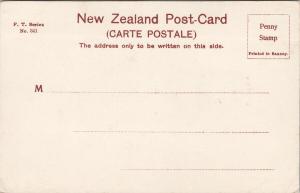 FT. Series Maori Chief NZ New Zealand UNUSED Gill Postcard E56