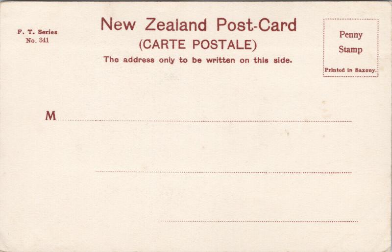 FT. Series Maori Chief NZ New Zealand UNUSED Gill Postcard E56