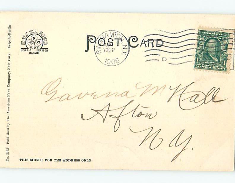 Pre-1907 LIBRARY Binghamton New York NY A3222