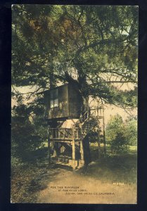 San Diego, California/CA/Calif Postcard, Pine Tree Bungalow, Pine Hills Lodge